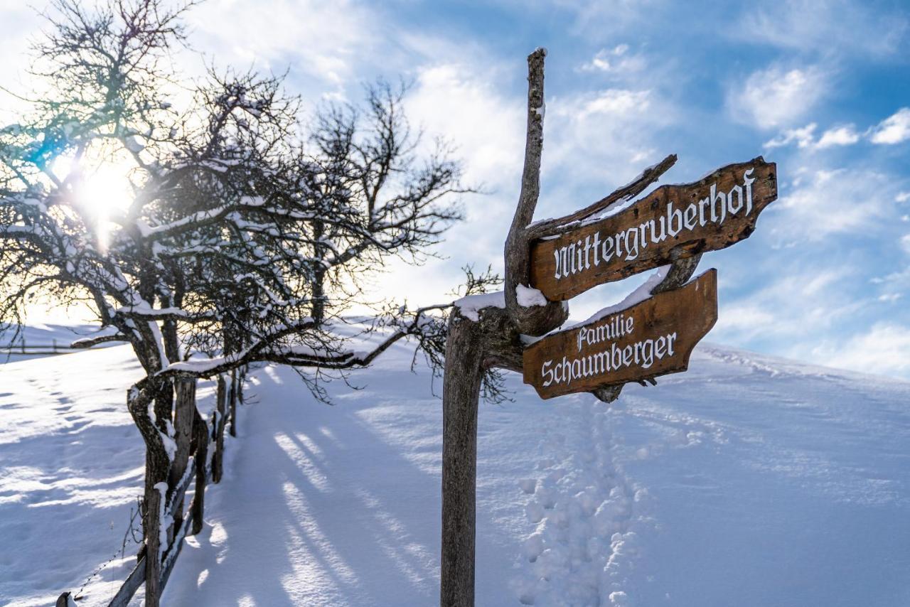 Bed and Breakfast Mittergruberhof à Schladming Extérieur photo