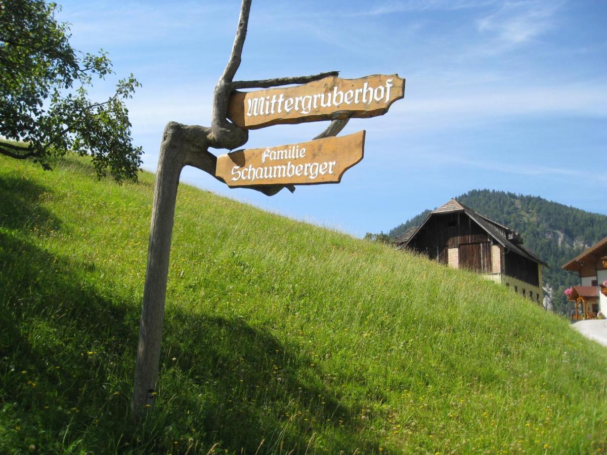 Bed and Breakfast Mittergruberhof à Schladming Extérieur photo